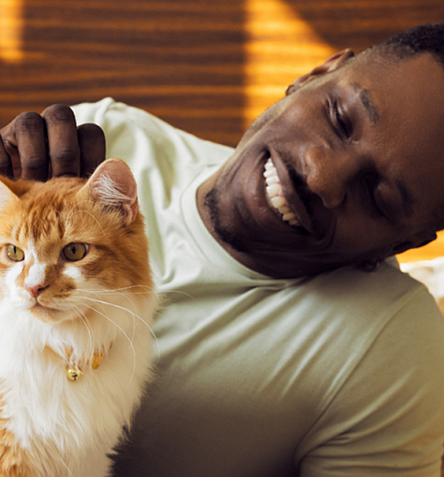 Mars Petcare reimagines digital petcare experiences with PawEasy & Pawra